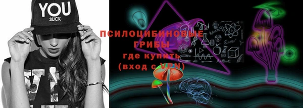 а пвп мука Богданович