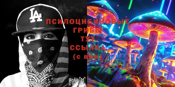 а пвп мука Богданович