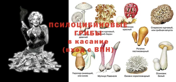 ALPHA PVP Богородск
