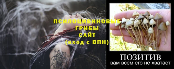 ALPHA PVP Богородск